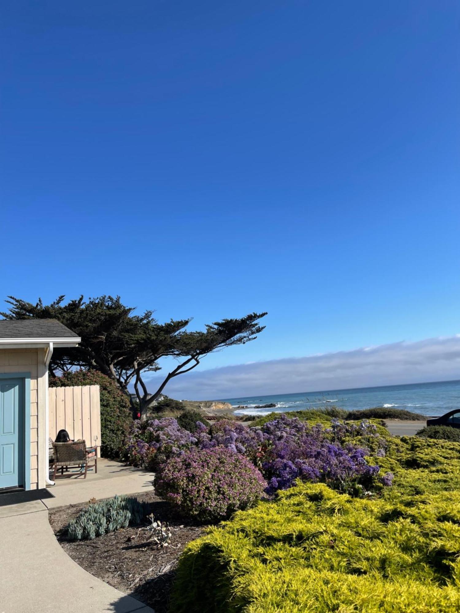 Cambria Landing Inn And Suites Exterior foto